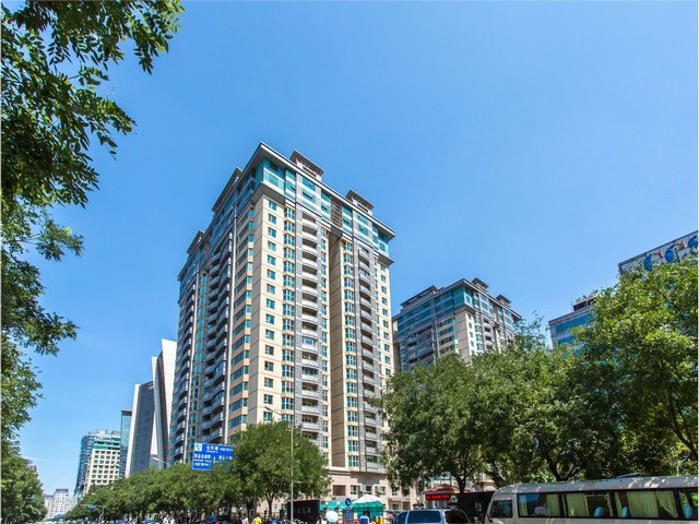 宁夏露天蔬菜种植技术指导